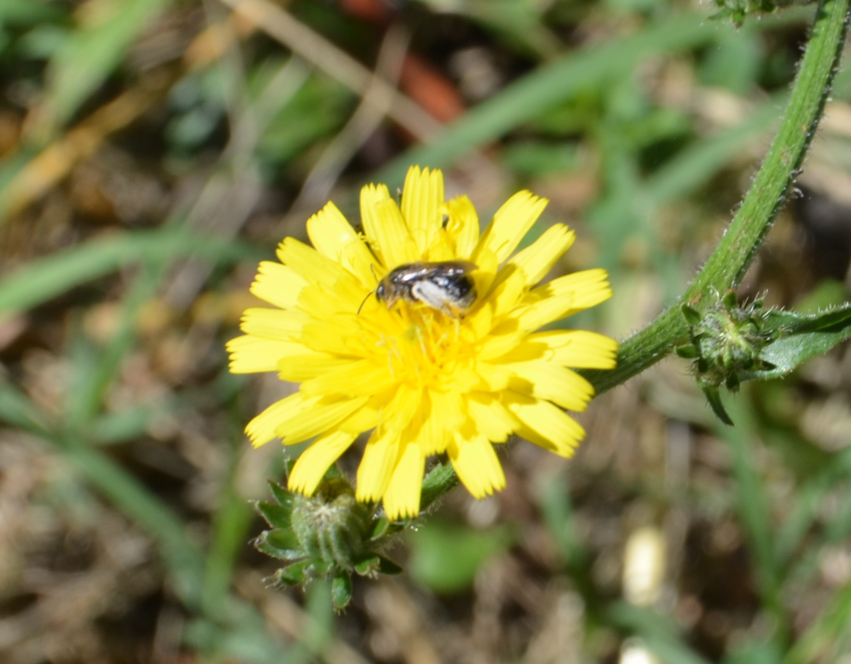 No s'ha trobat l'arxiu